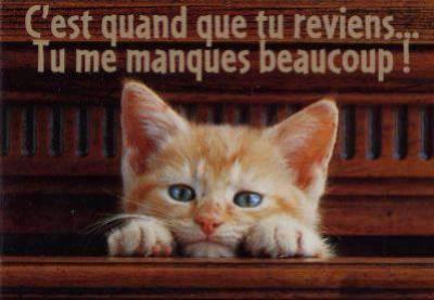 pour une amie qui me manque. que je n'oublirais jamais